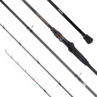 Immagine di Daiwa Lightgame X Evolution 2,40m 375gr max