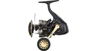 Immagine di Daiwa 23 BG SW 