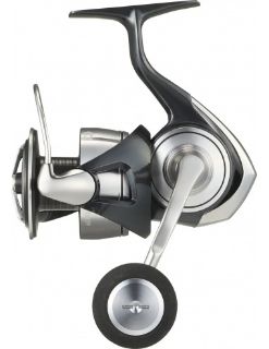 Immagine di Daiwa 24 Certate SW 